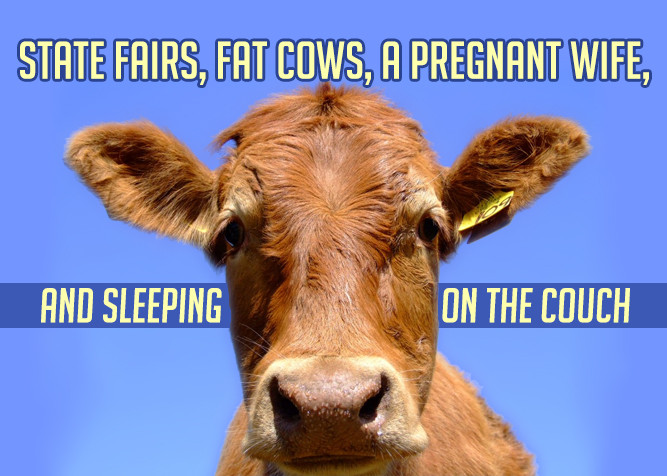 State Fairs, Fat Cows, A Pregnant Wife, And Sleeping On The Couch at PlaidDadBlog.com