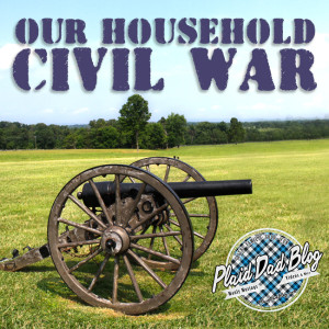 Our Household Civil War - Race, Age, and Adoption at PlaidDadBlog.com